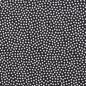 Preview: Baumwolle Dotty Schwarz/Weiß by Swafing